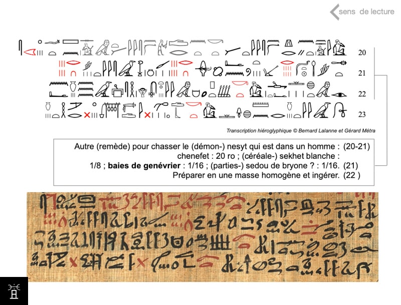 Papyrus Ebers, 752 (89, 20 – 89, 22): Un autre (remède) pour éliminer une affliction <i>nesyt</i> chez un homme