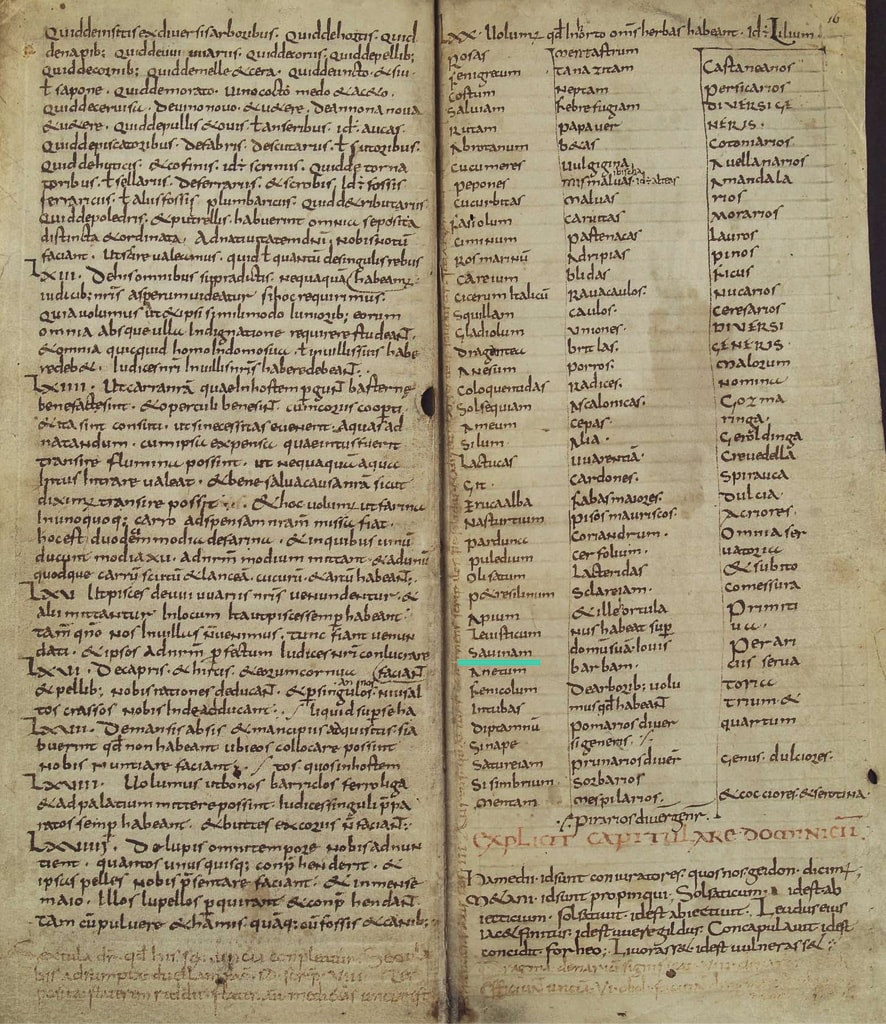 Savinam dans le Capitulaire de Villis f°16r,  810-812