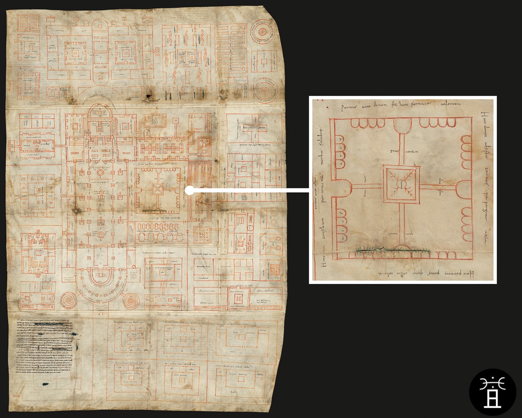 La Sabine sur le plan du cloître du monastère de Saint-Gall, vers 819 Codex Sangallensis 1092 